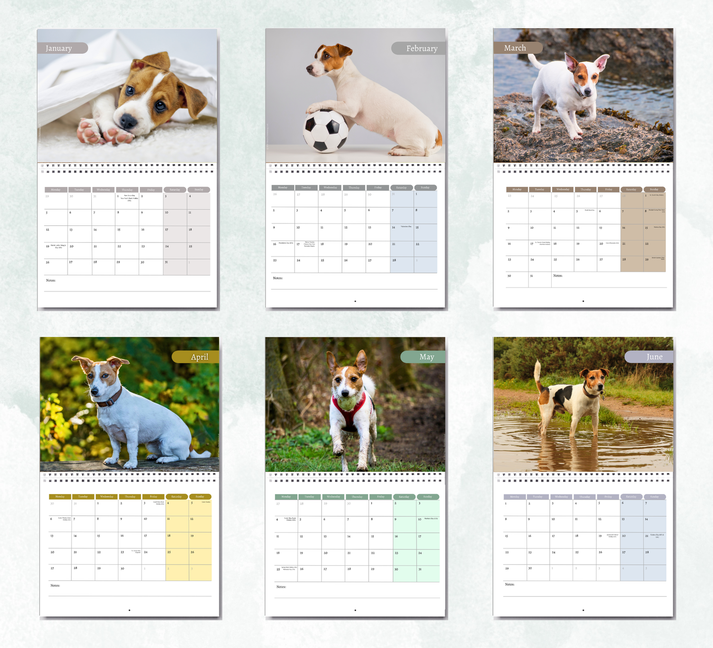 Jack Russell Calendar 2027