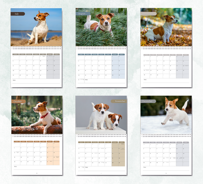 Jack Russell Calendar 2027