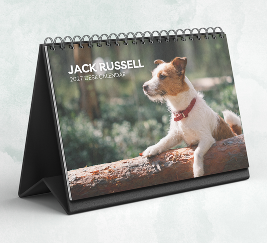 Jack Russell Desk Calendar 2027-2028