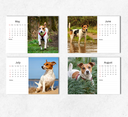 Jack Russell Desk Calendar 2027-2028