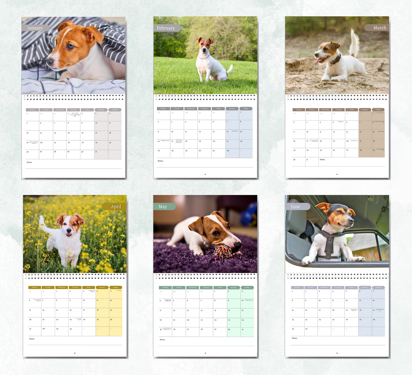 Jack Russell Calendar 2026