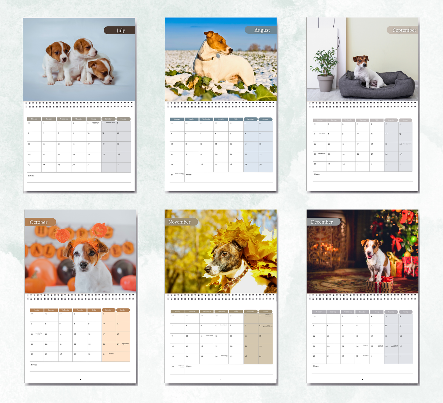 Jack Russell Calendar 2026