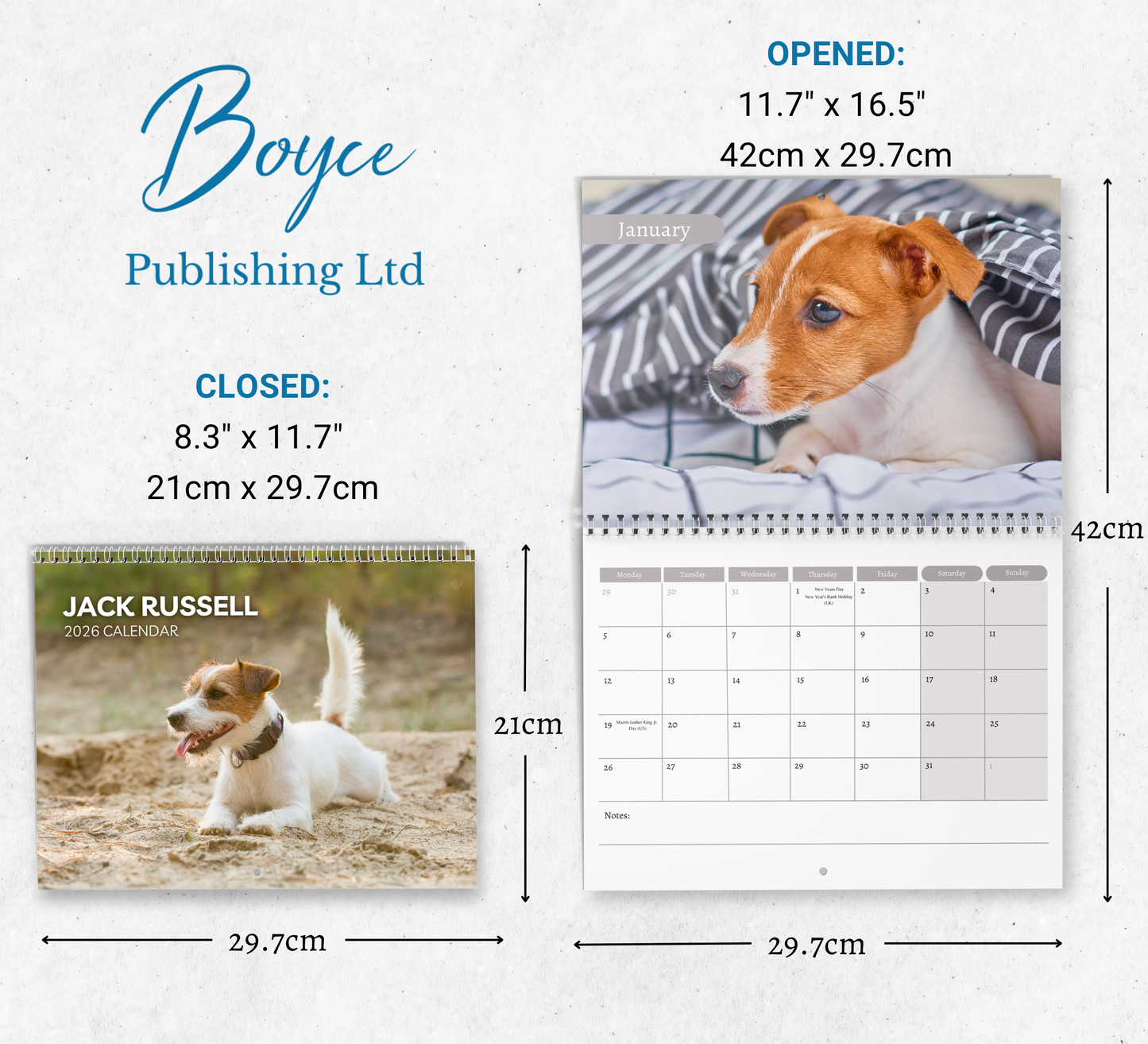 Jack Russell Calendar 2026