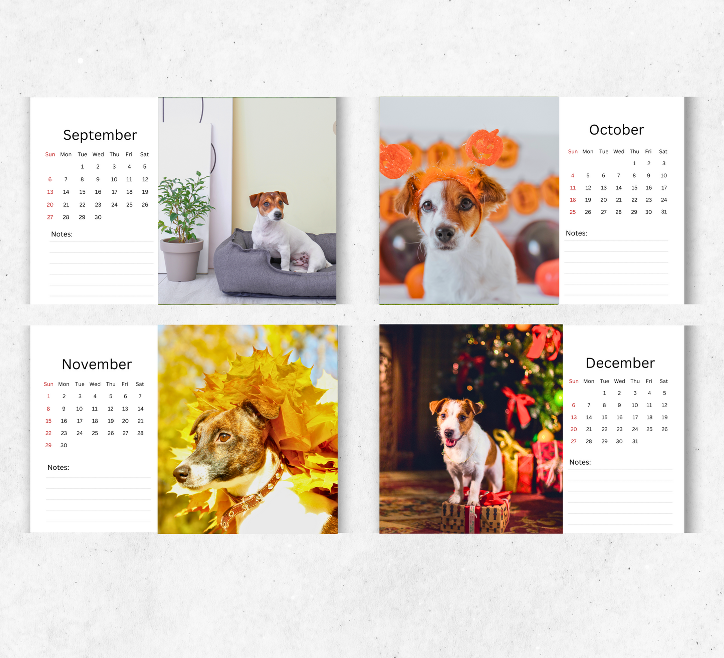 Jack Russell Desk Calendar 2026-2027