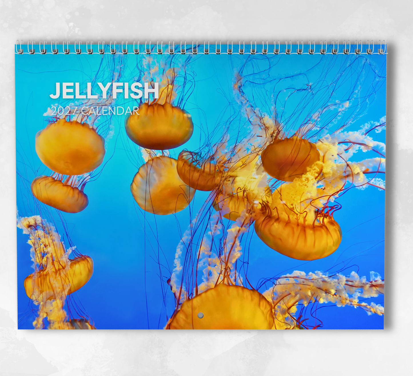 Jellyfish Calendar 2027