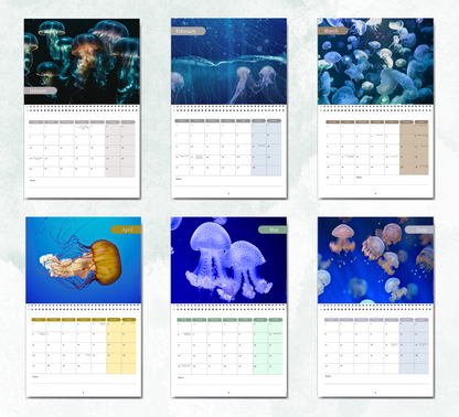 Jellyfish Calendar 2027