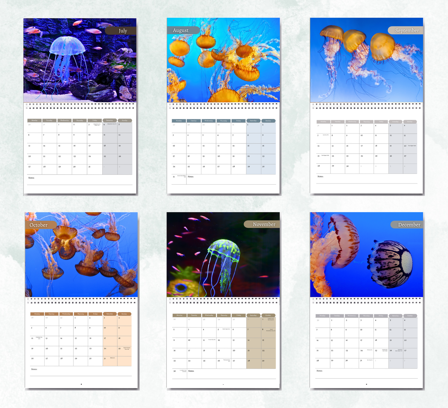 Jellyfish Calendar 2027
