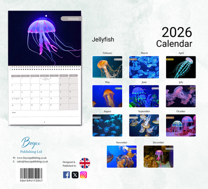 Jellyfish Calendar 2026