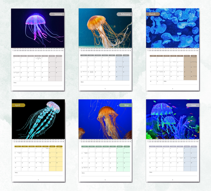 Jellyfish Calendar 2026