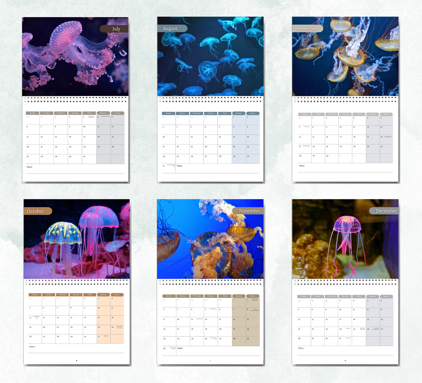 Jellyfish Calendar 2026