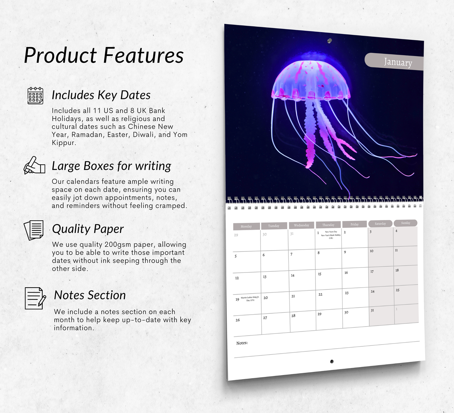 Jellyfish Calendar 2026