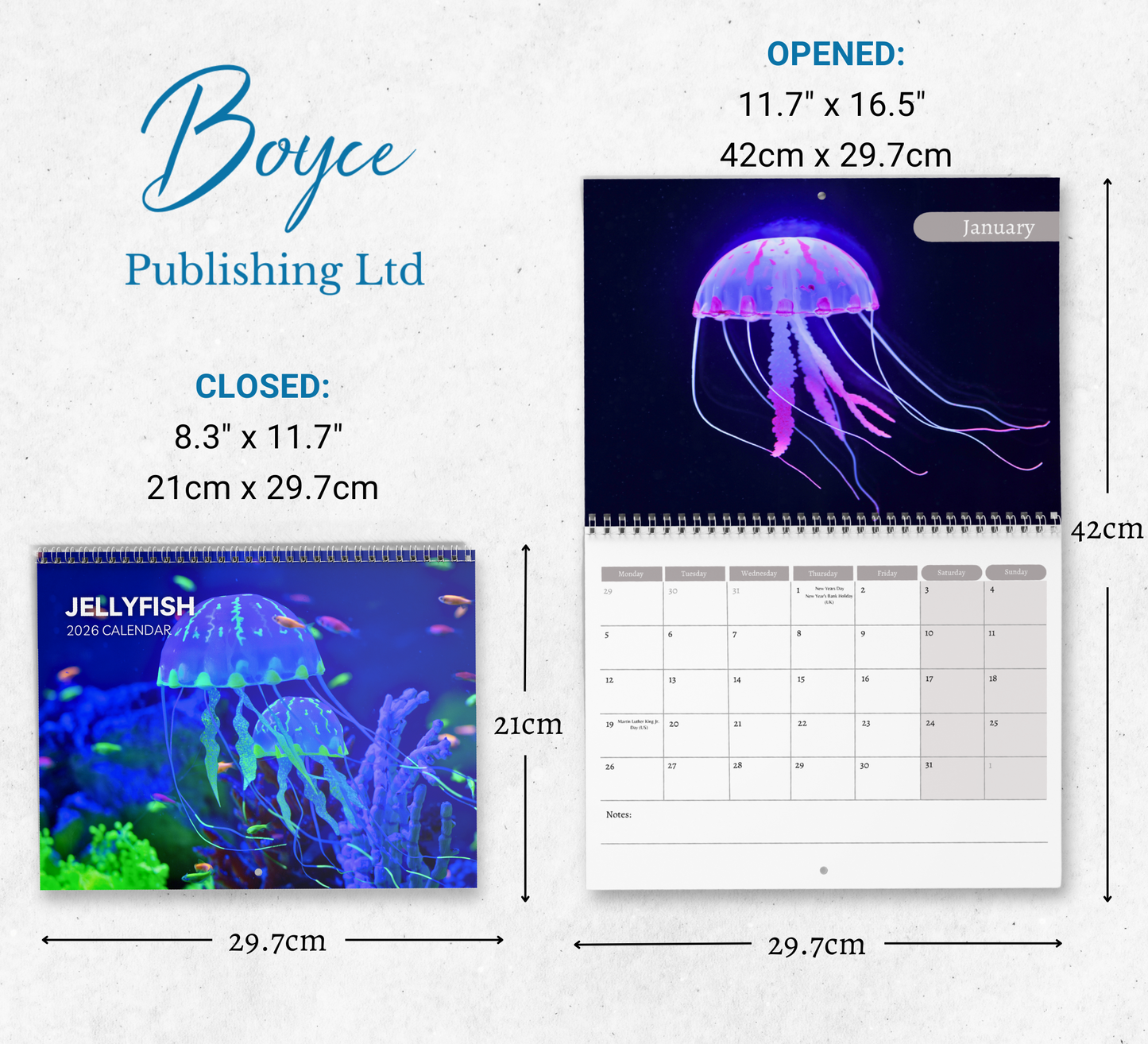 Jellyfish Calendar 2026