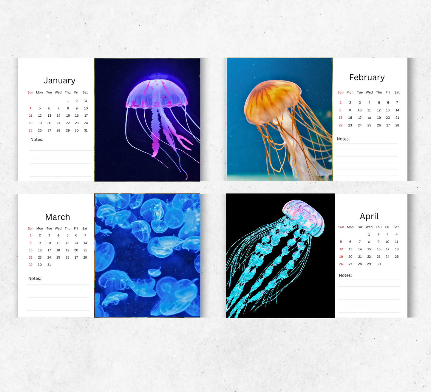 Jellyfish Desk Calendar 2026-2027