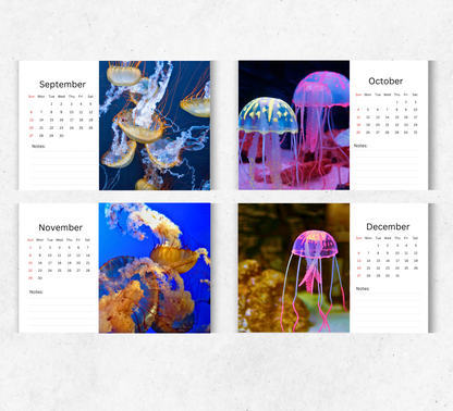 Jellyfish Desk Calendar 2026-2027