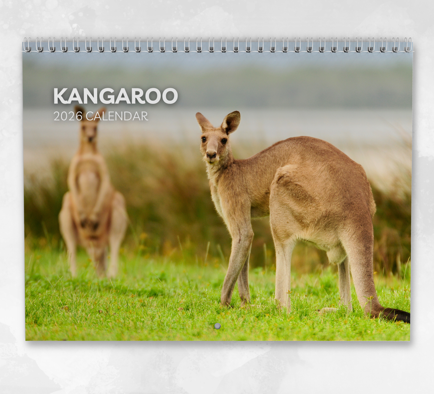 Kangaroo Calendar 2026