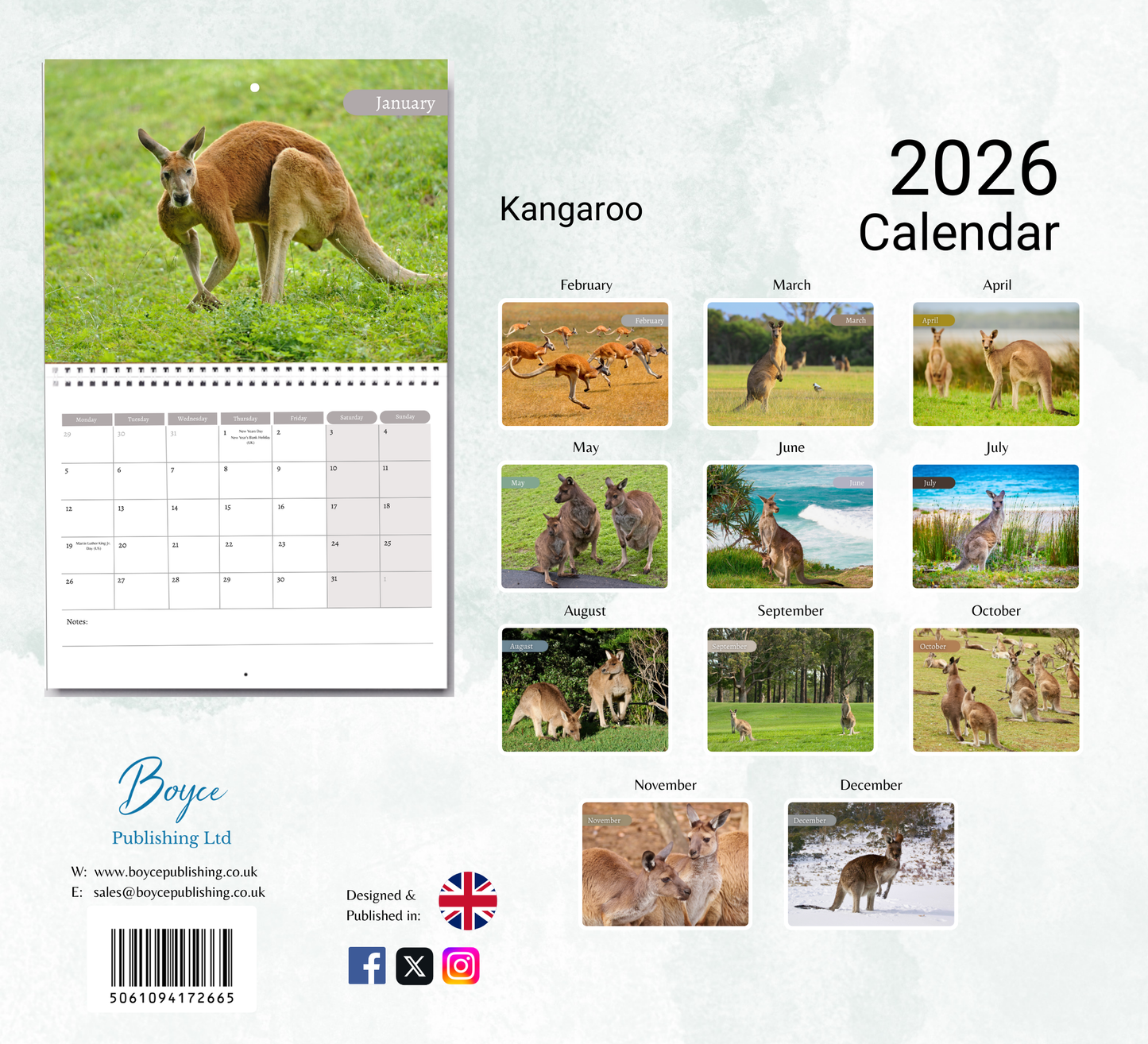 Kangaroo Calendar 2026