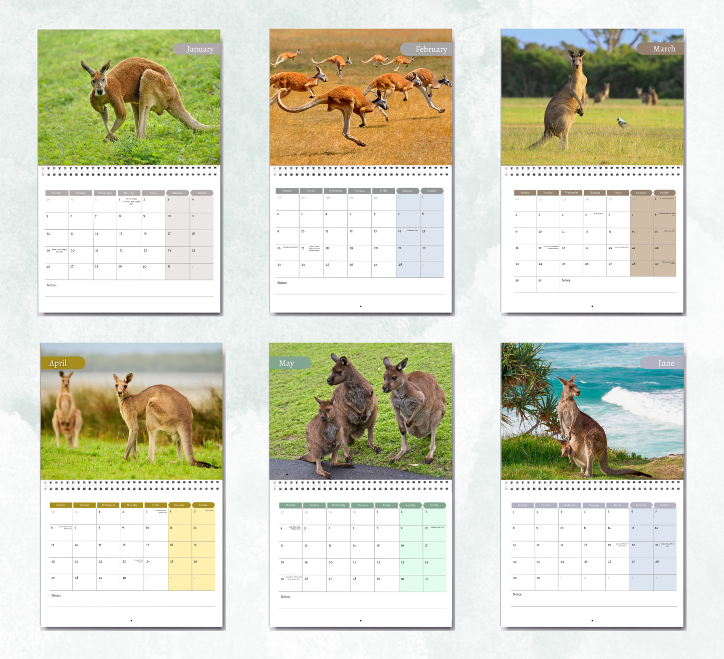 Kangaroo Calendar 2026
