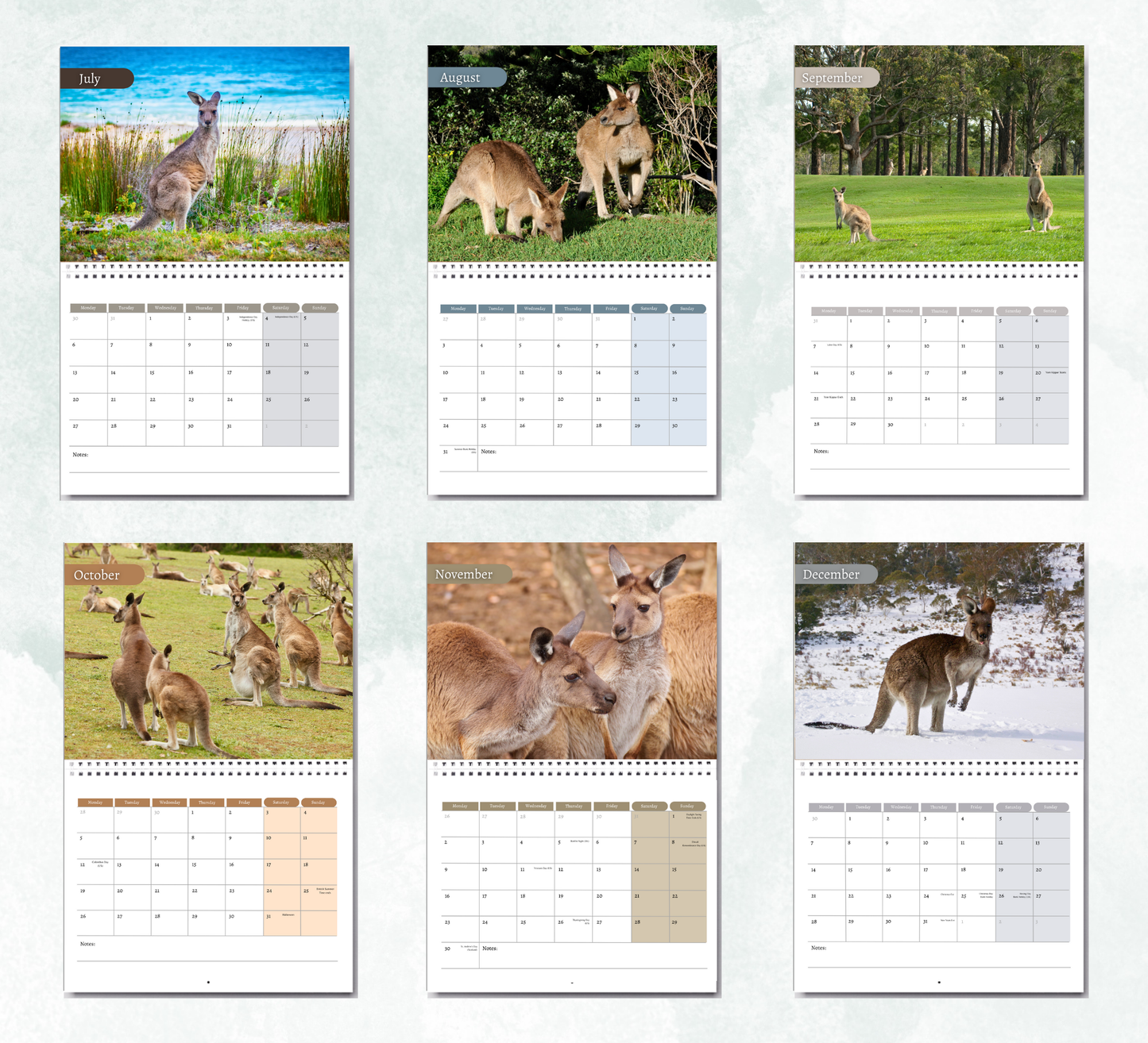 Kangaroo Calendar 2026