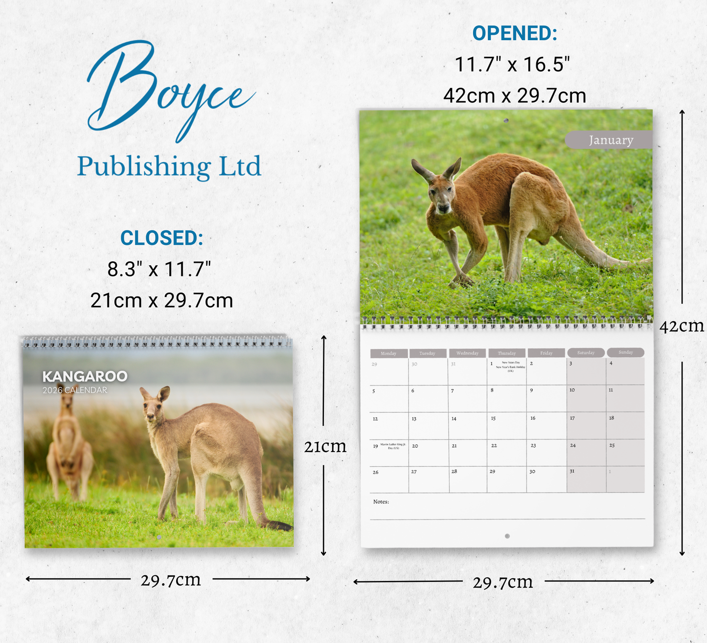Kangaroo Calendar 2026