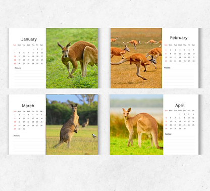Kangaroo Desk Calendar 2026-2027