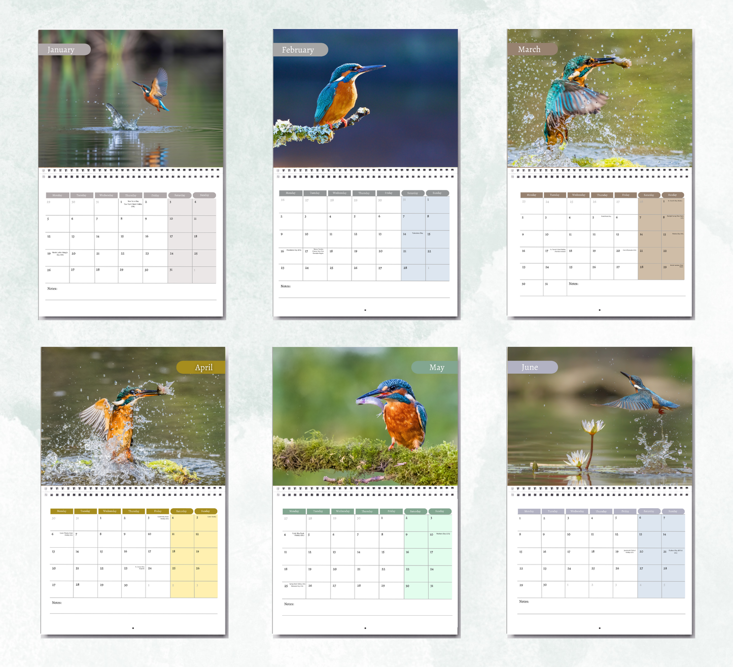 Kingfisher Calendar 2027
