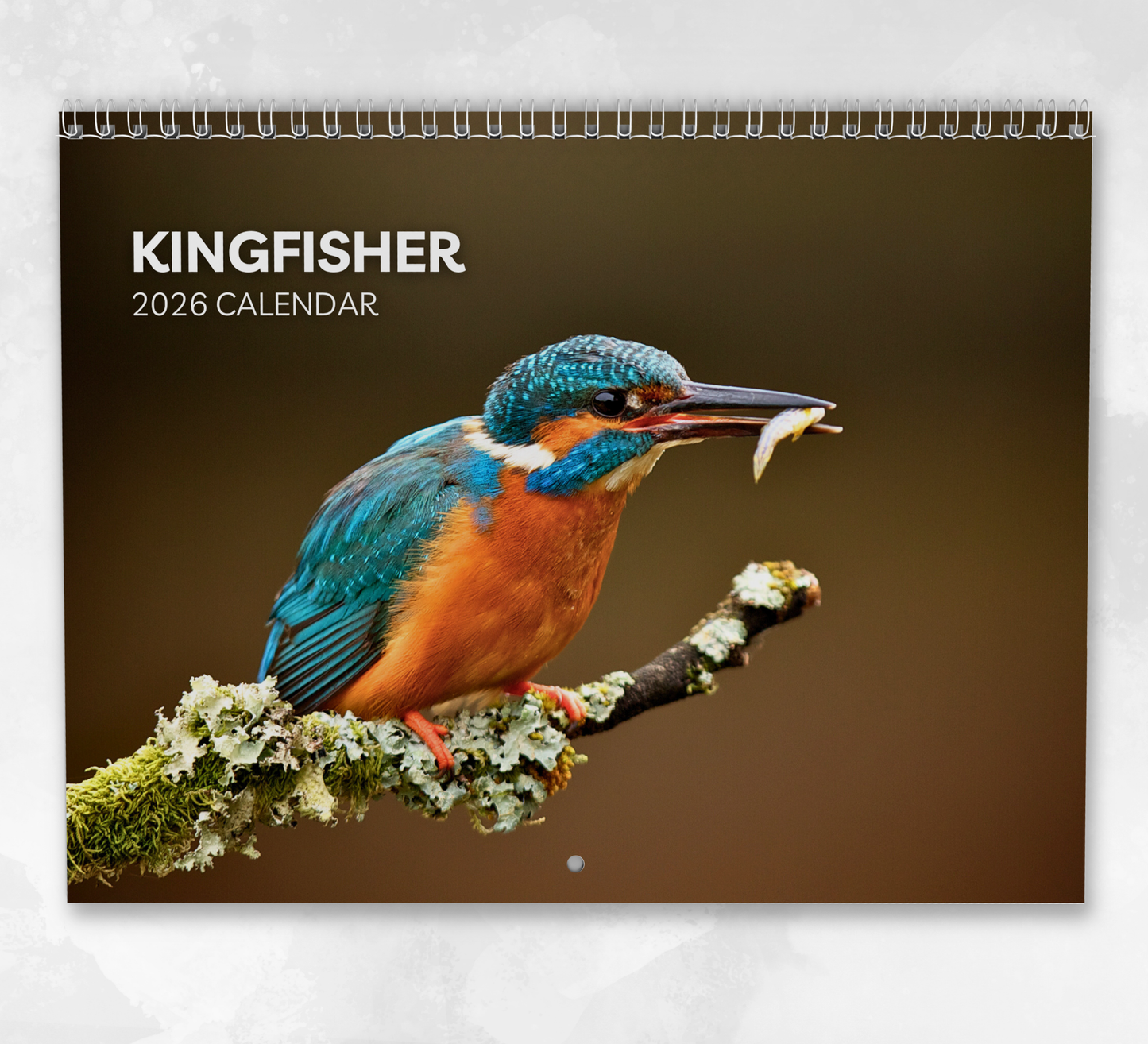 Kingfisher Calendar 2026