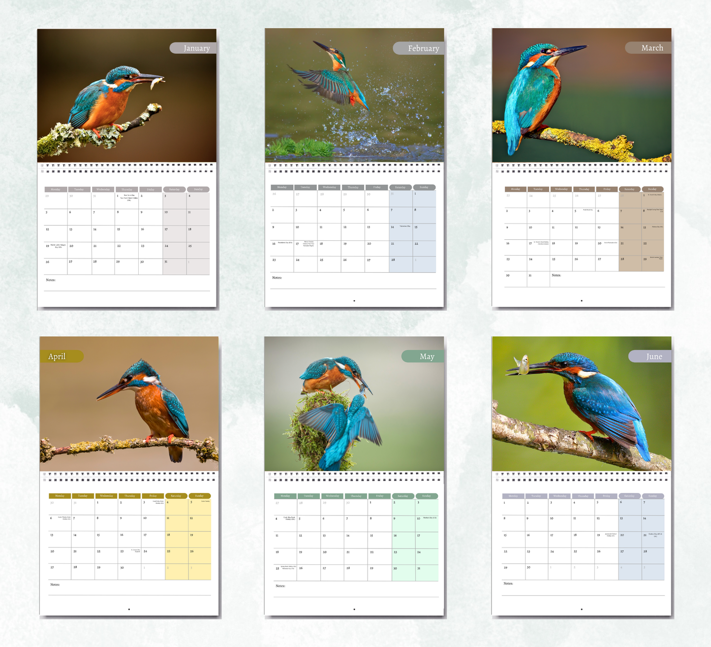 Kingfisher Calendar 2026
