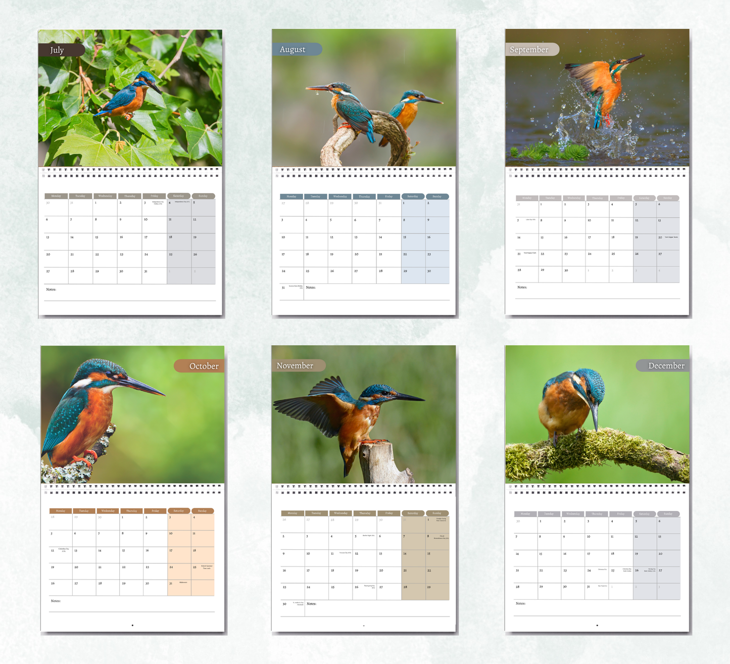 Kingfisher Calendar 2026