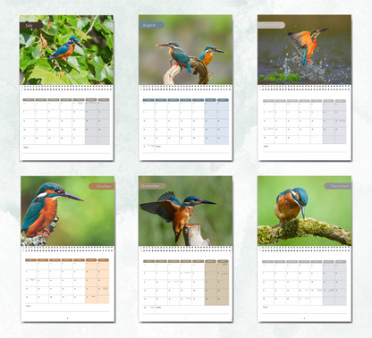 Kingfisher Calendar 2026