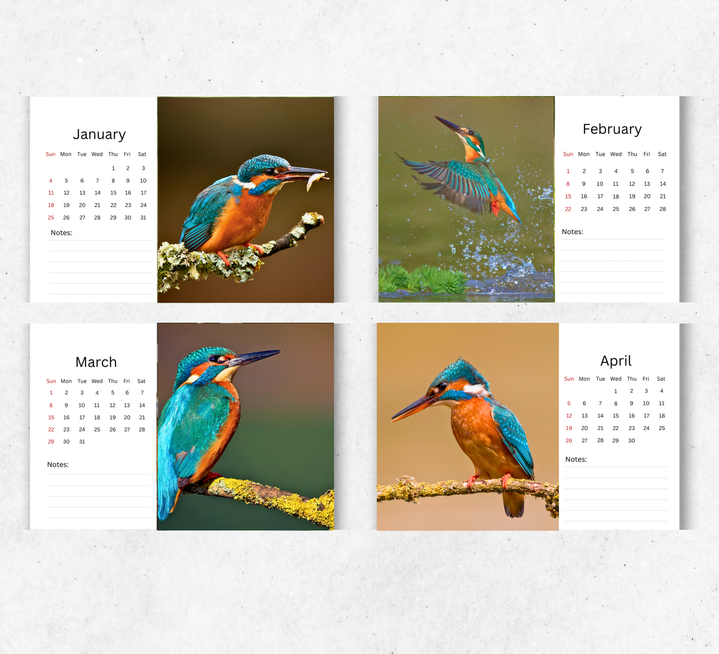 Kingfisher Desk Calendar 2026-2027