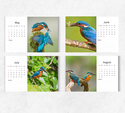 Kingfisher Desk Calendar 2026-2027