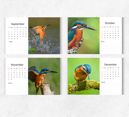 Kingfisher Desk Calendar 2026-2027