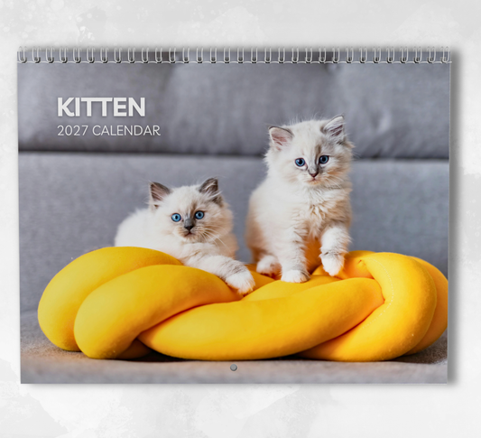 Kitten Calendar 2027