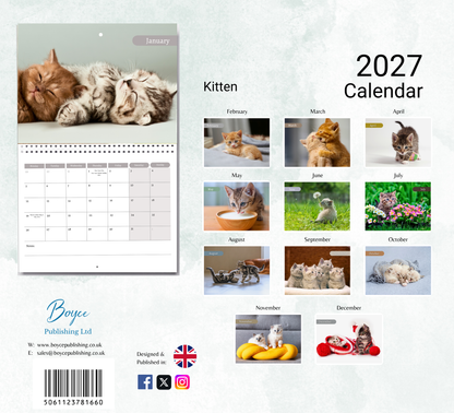 Kitten Calendar 2027
