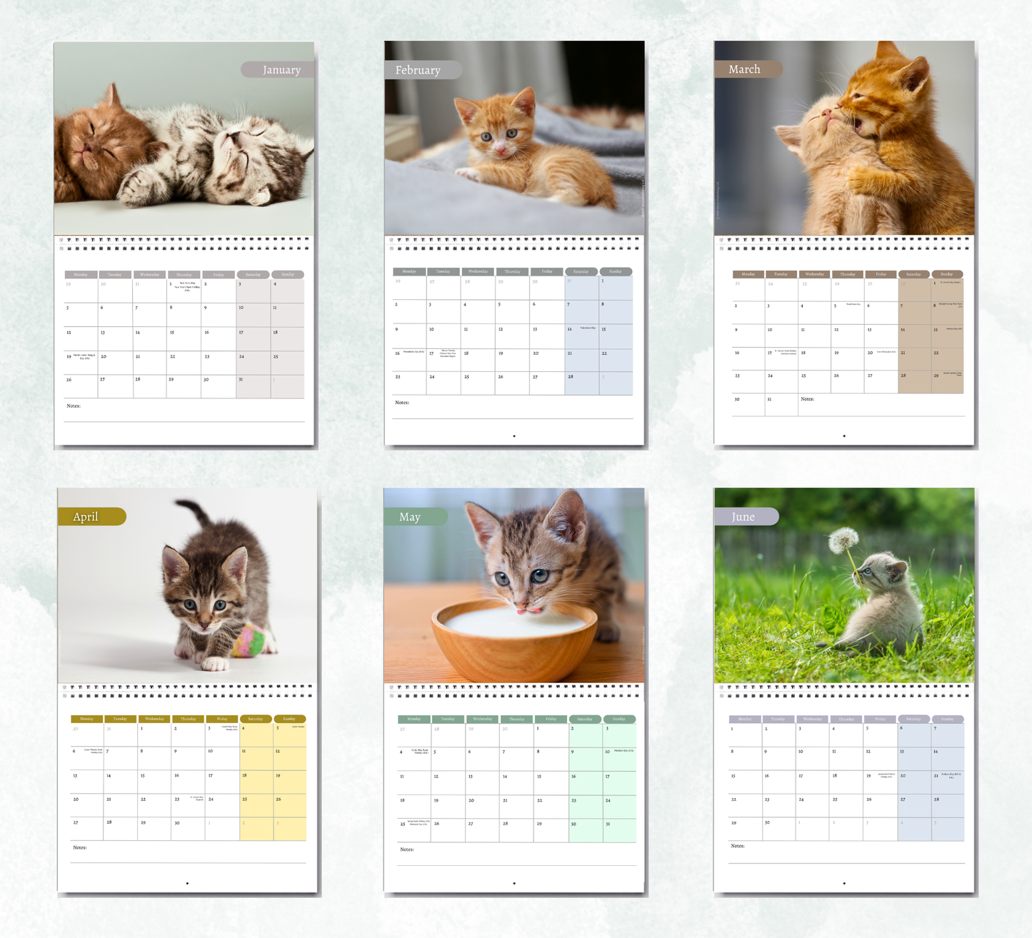 Kitten Calendar 2027