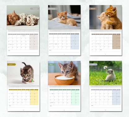 Kitten Calendar 2027