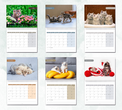 Kitten Calendar 2027