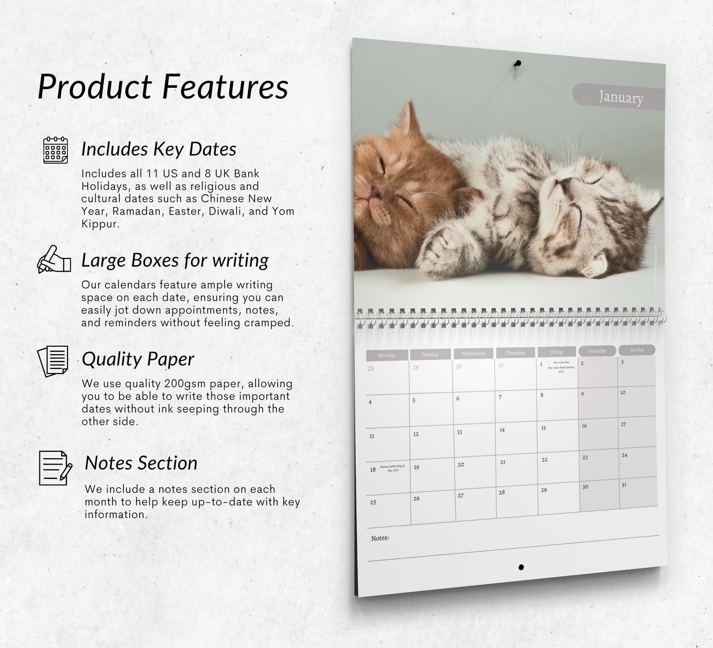 Kitten Calendar 2027