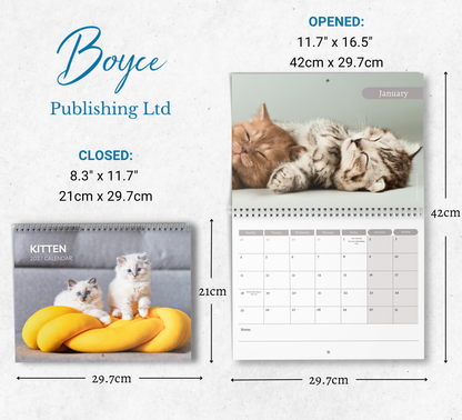 Kitten Calendar 2027