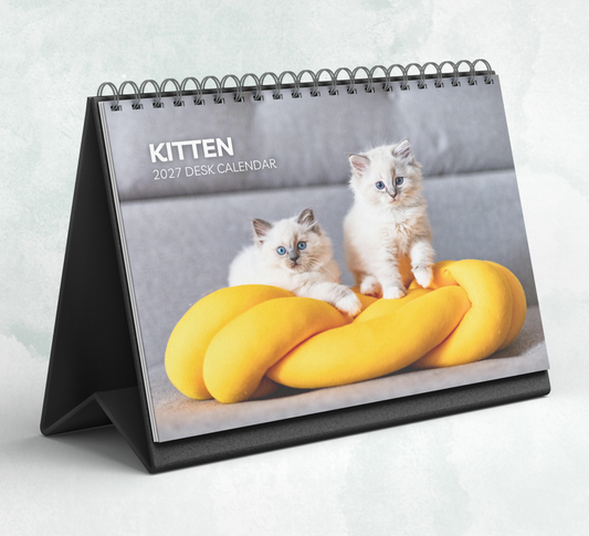 Kitten Desk Calendar 2027-2028