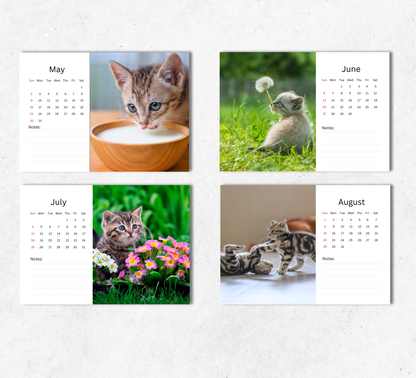 Kitten Desk Calendar 2027-2028
