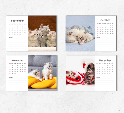 Kitten Desk Calendar 2027-2028
