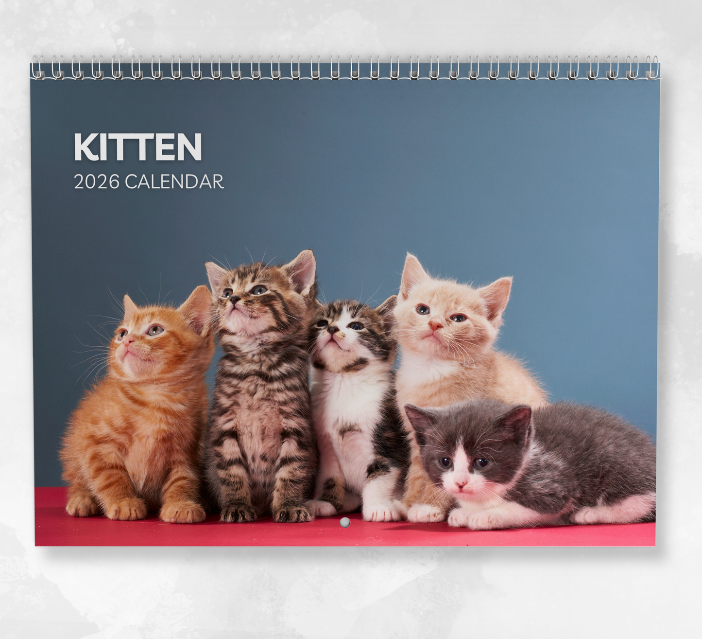 Kitten Calendar 2026