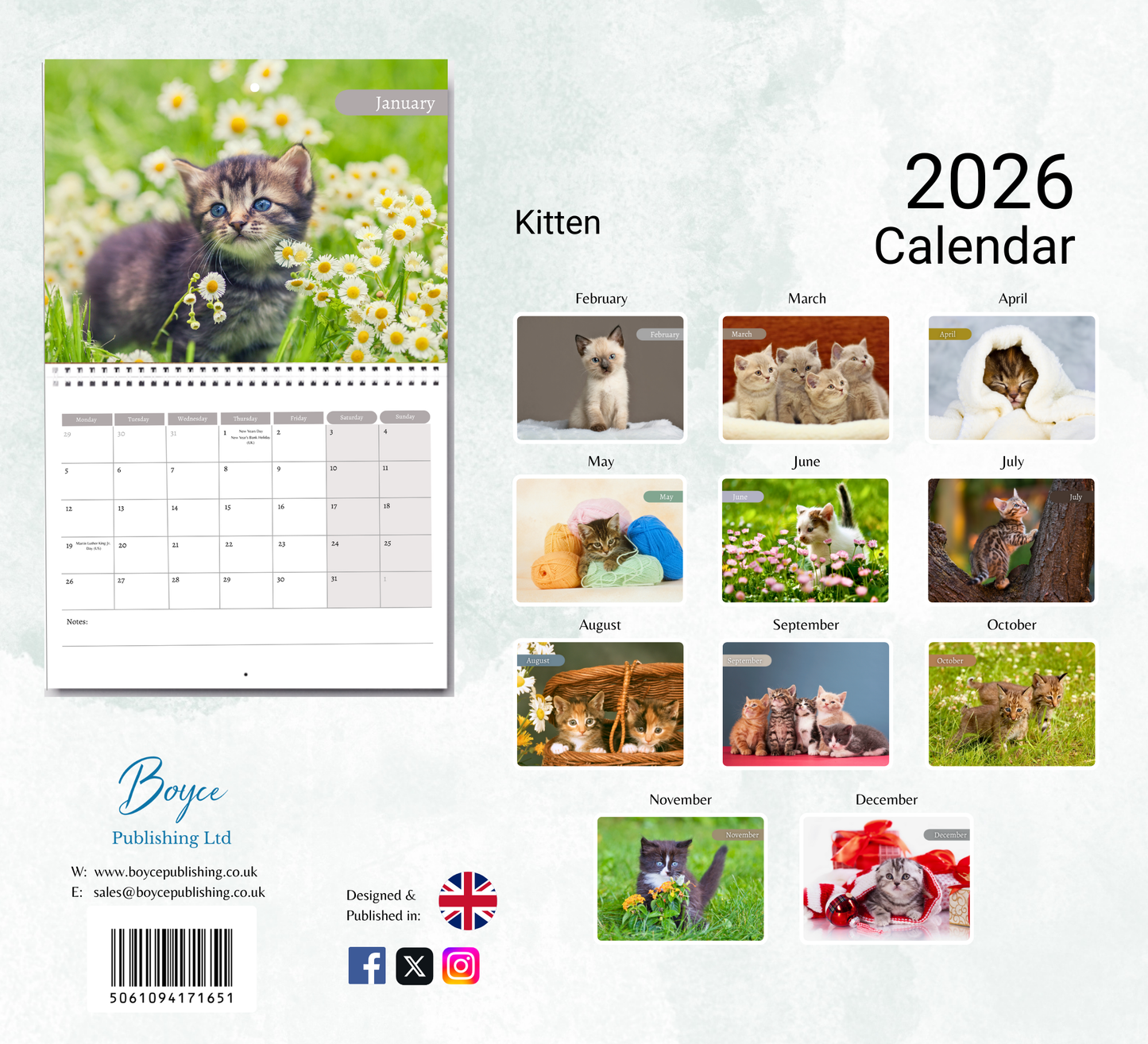 Kitten Calendar 2026