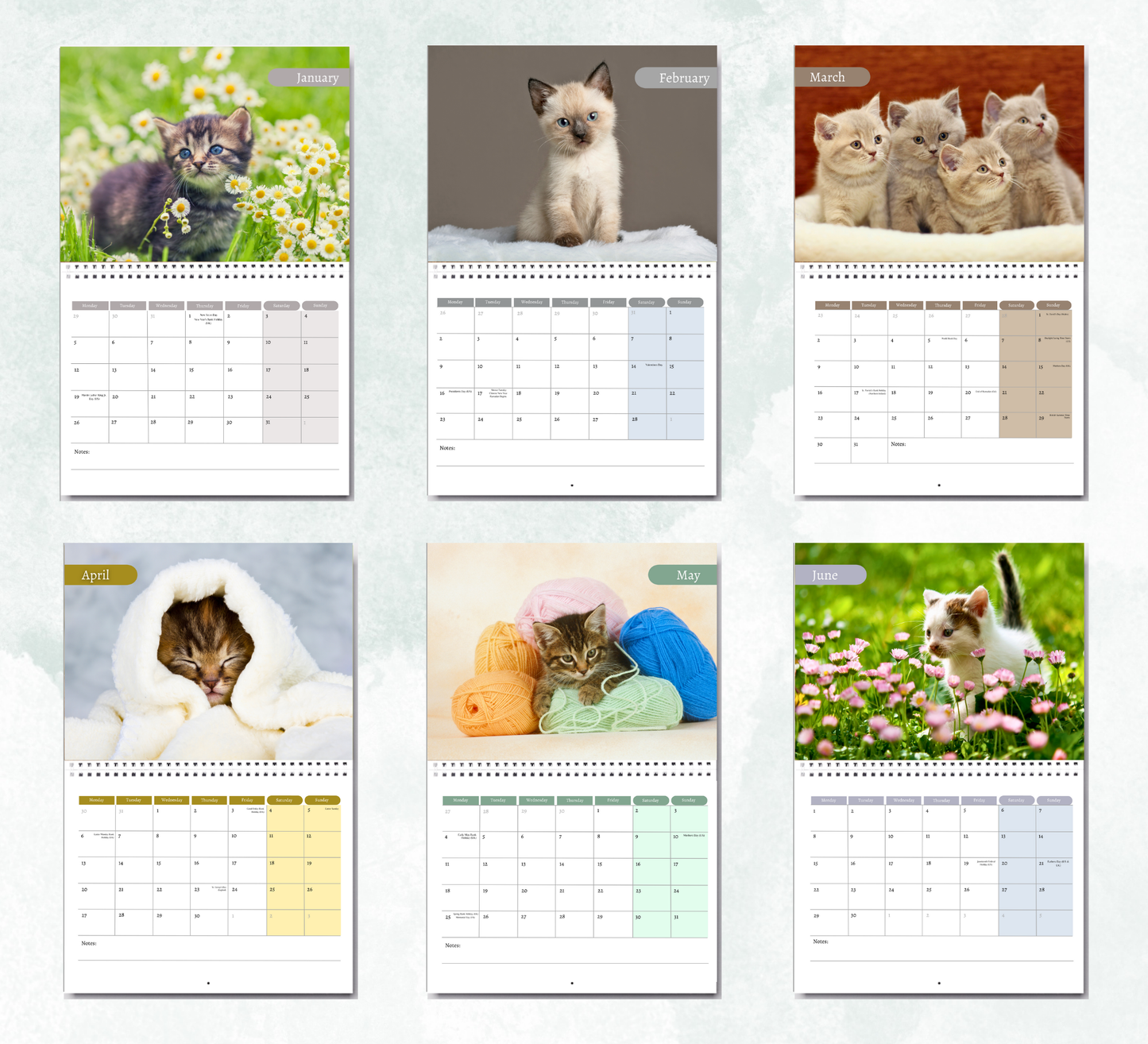 Kitten Calendar 2026