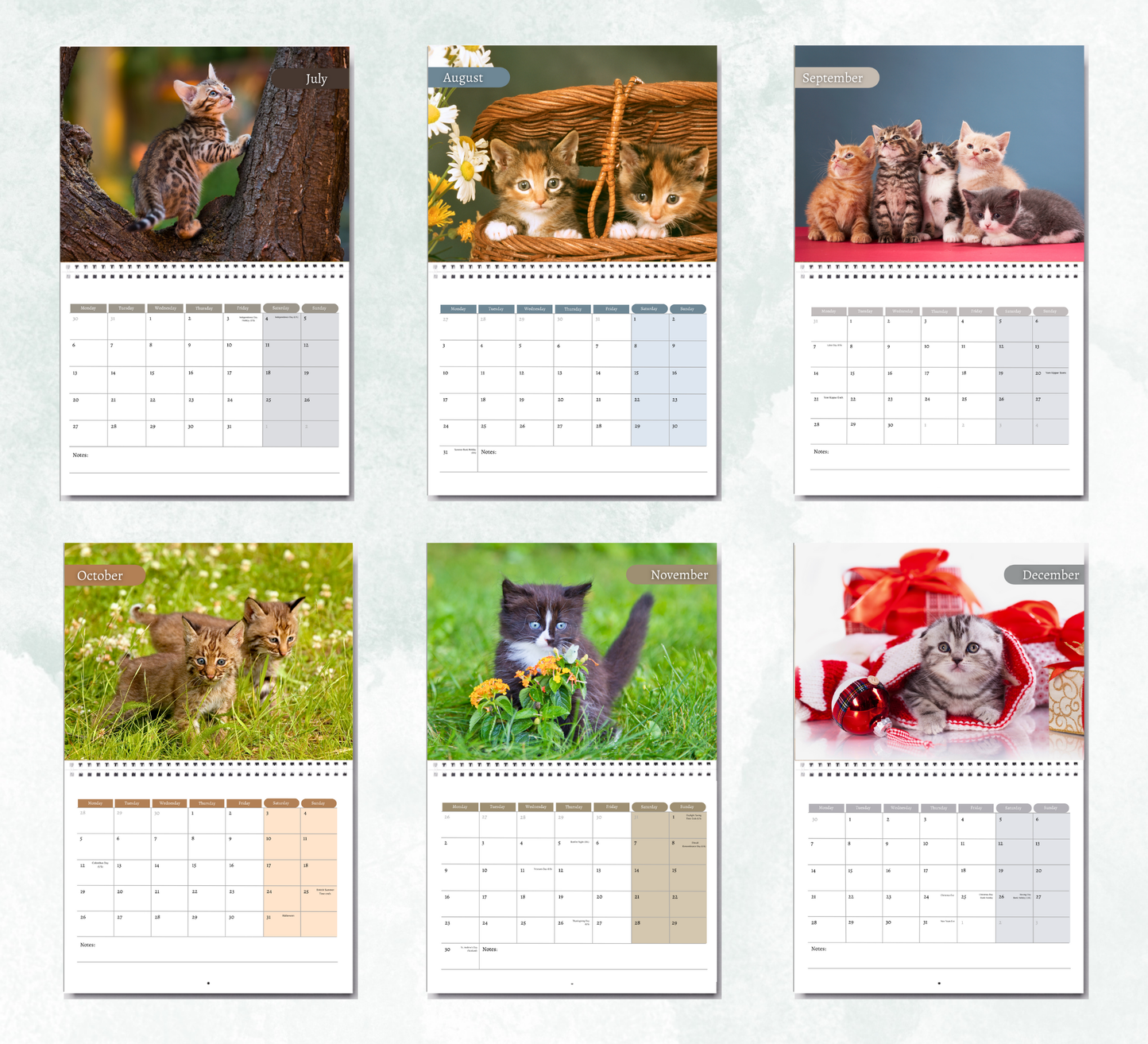Kitten Calendar 2026