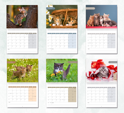 Kitten Calendar 2026