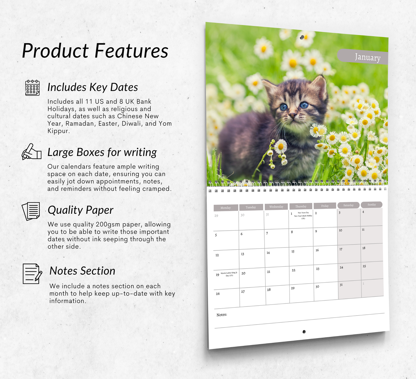 Kitten Calendar 2026