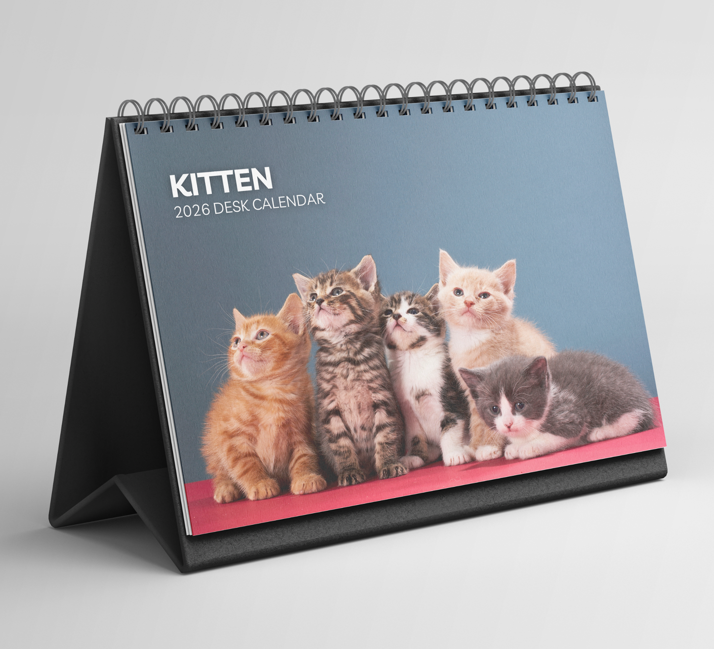 Kitten Desk Calendar 2026-2027