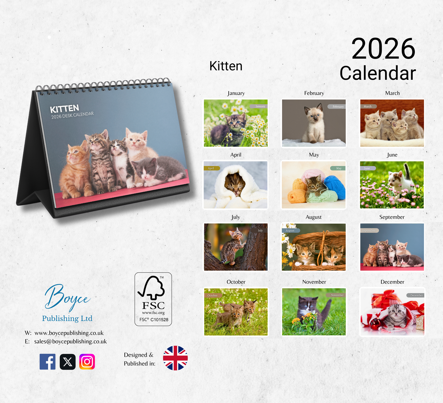 Kitten Desk Calendar 2026-2027